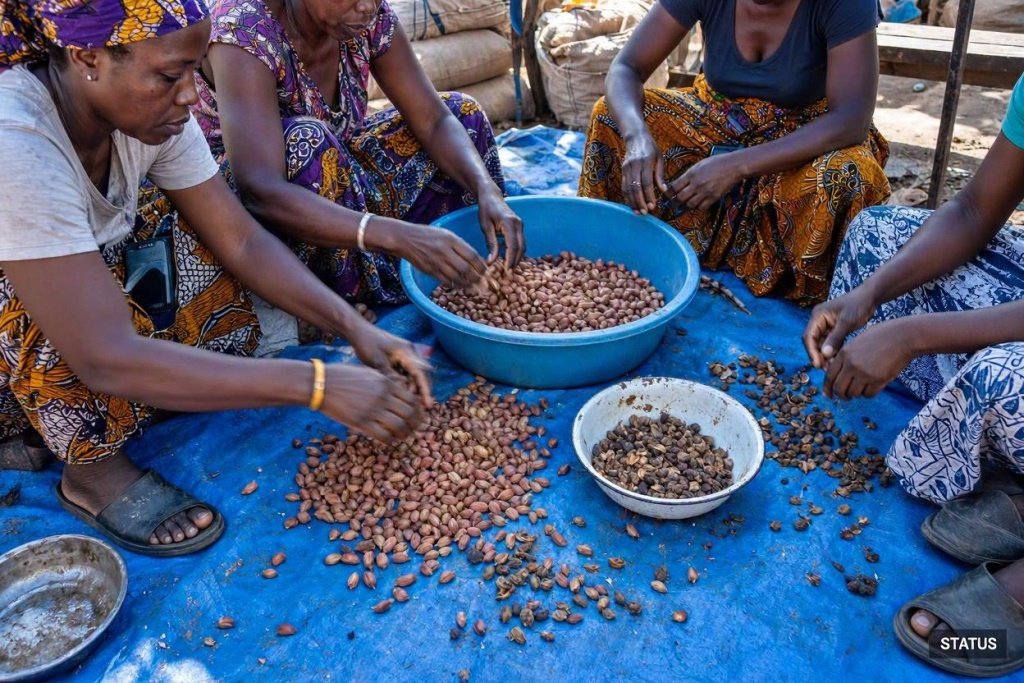 Women sorting groundnuts at a market